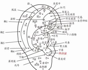 左耳內有痣|耳朵痣位置：影響健康？